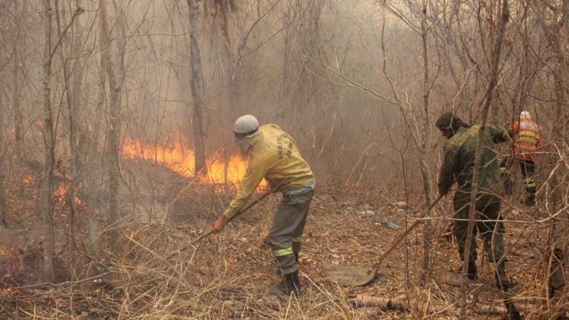 Bombeiros atuando nos incêndios de 2020