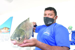 Peixarias oferecem descontos na alta da carne bovina