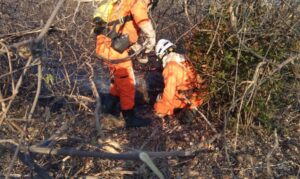 Alerta de seca em seis estados do Brasil