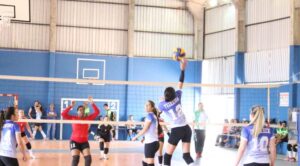 atletas time volei esporte