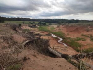 erosao crime ambiental policia militar ms mato grosso do sul mundo novo interior