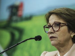 tereza cristina ministra mapa ministerio da agricultura