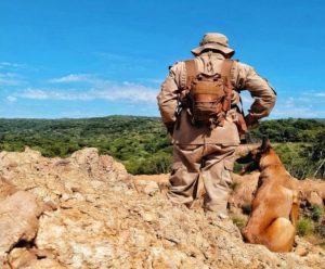 Cães de resgate do CBMMS