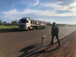 cocaina drogas apreensao dracco rodovia cocaina policia