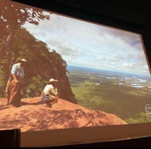 Exibição remake pantanal - instagram Riedel