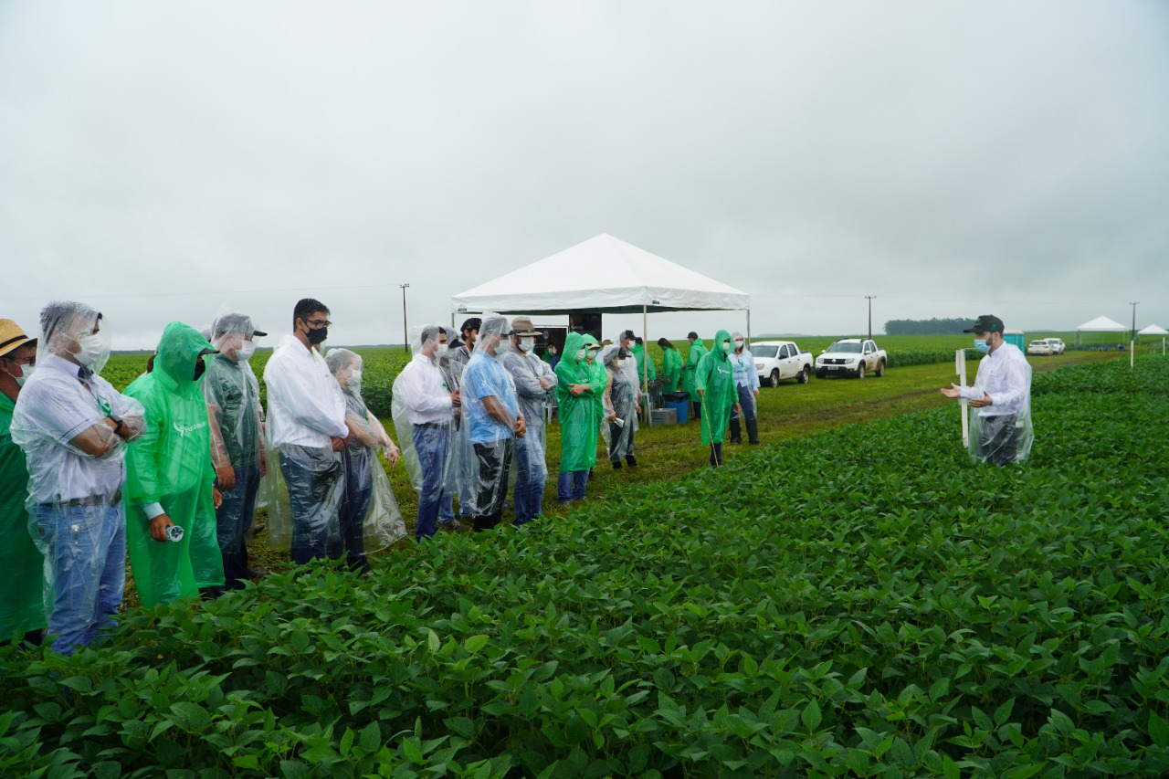 agronegocio agricultura fertilizantes adubo adubagem composto rural economia