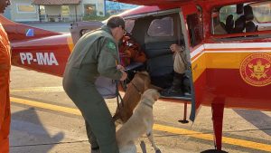 Bombeiros e cães militares