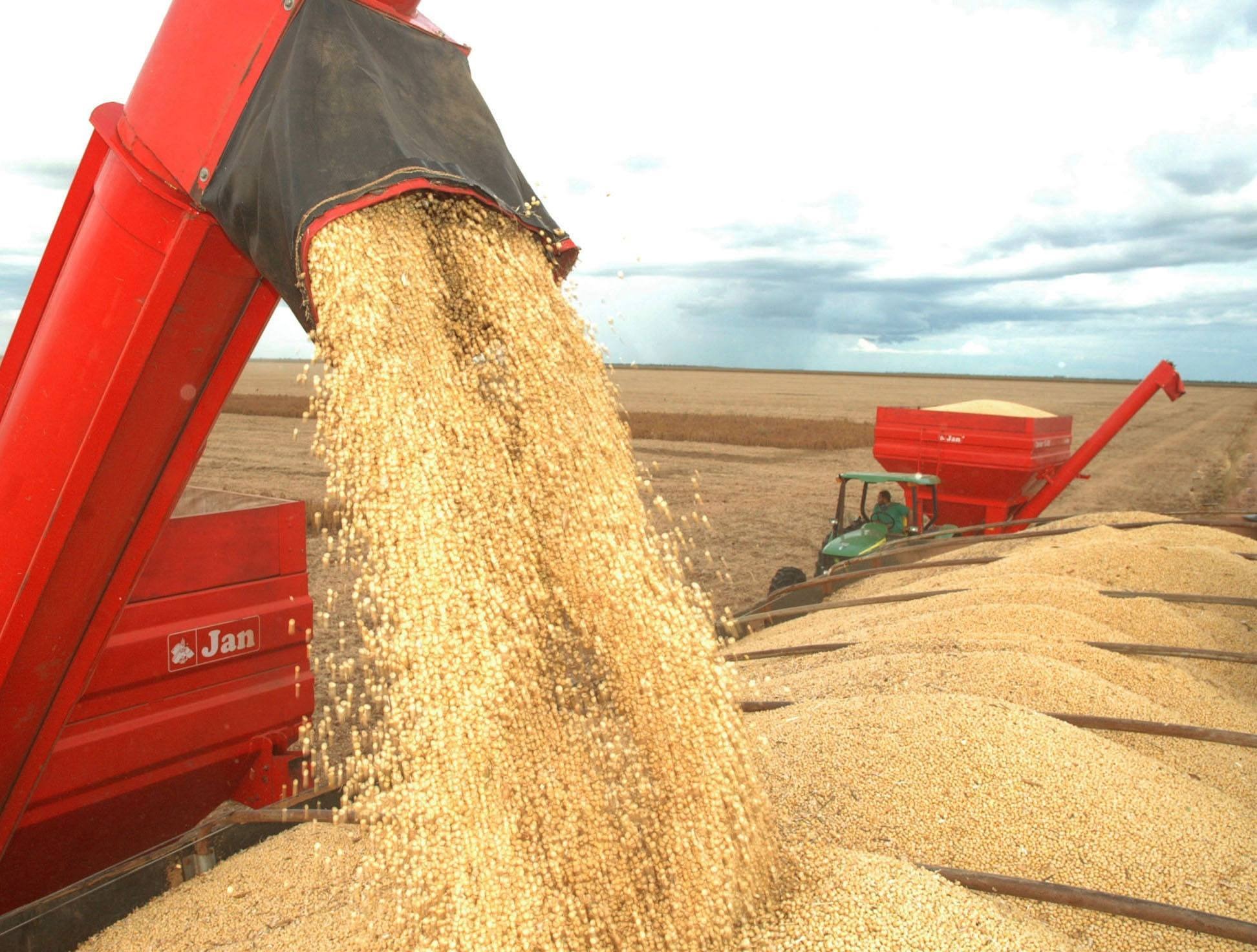 soja agropecuaria agronegocio producao produtores lavoura