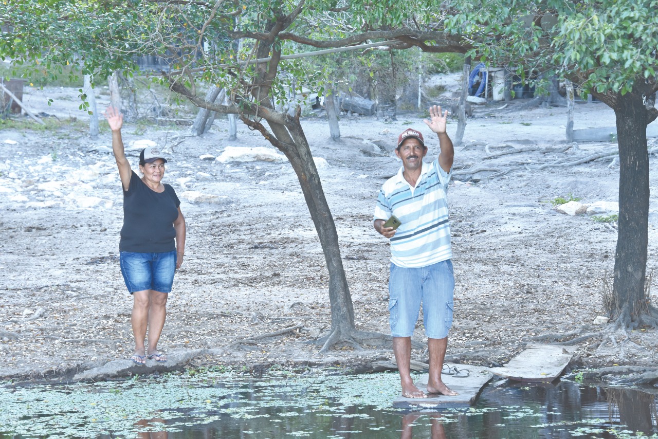 Casal do Pantanal