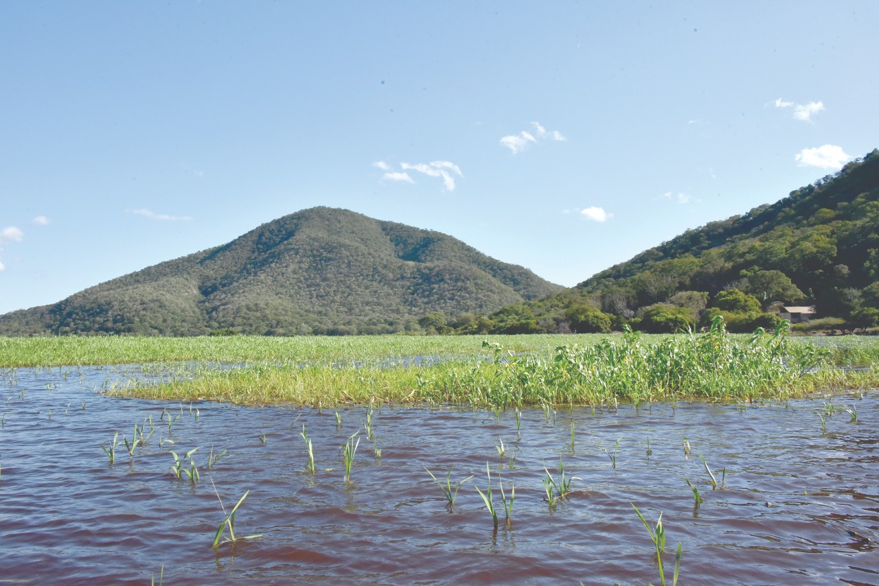 Casal do Pantanal