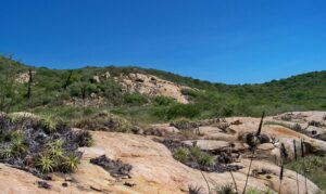 Geoparques