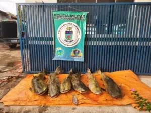 Polícia Militar Ambiental