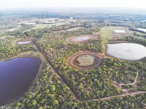 Pantanal