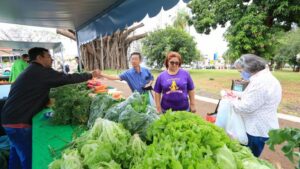 quintal sesc agricultura familiar