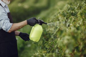 agrotóxico pesticida agronegócio