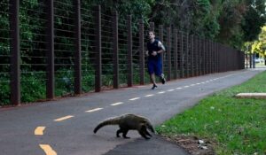 Amigos do Parque