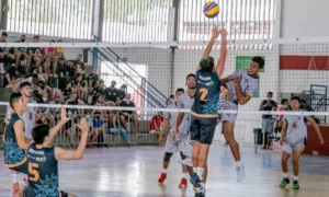 Voleibol