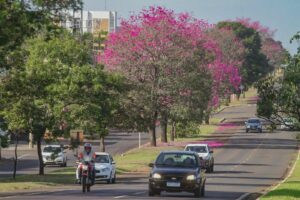 Campo Grande