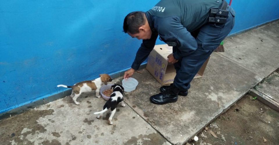 Foto: reprodução Diário Corumbaense