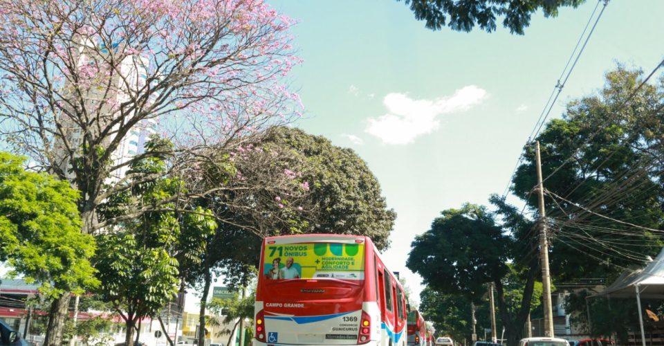 Foto: Divulgação/PMCG