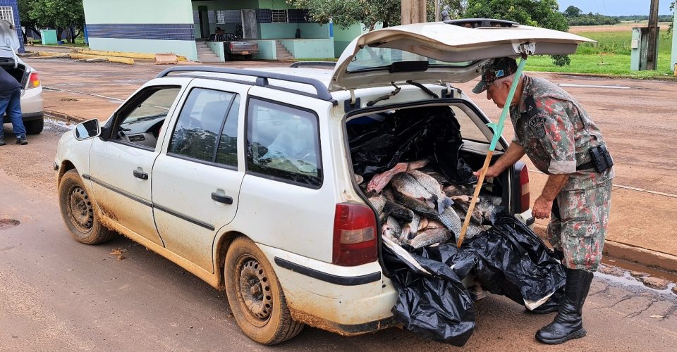 Foto: divulgação PMA