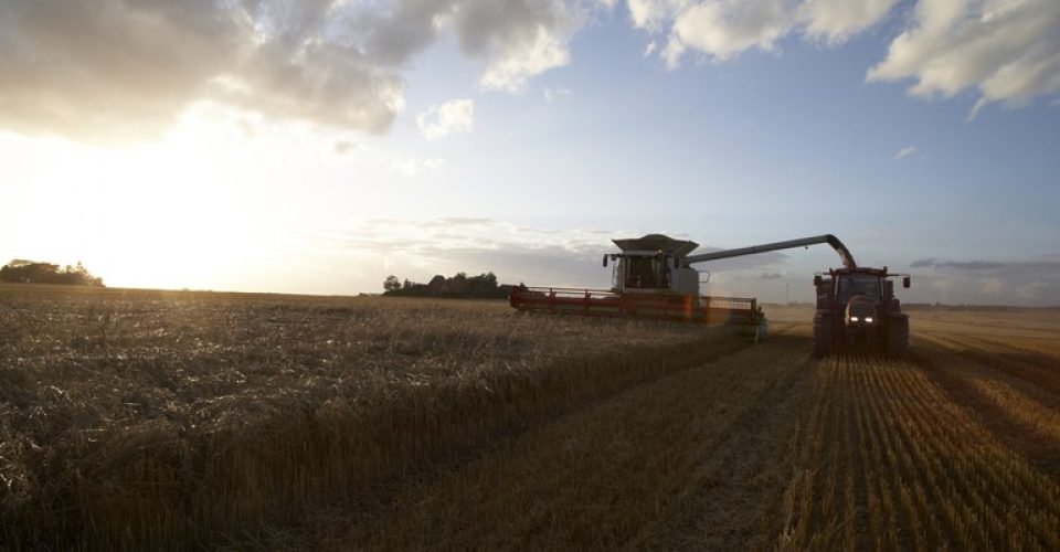 Foto: Divulgação/Ministério da Agricultura