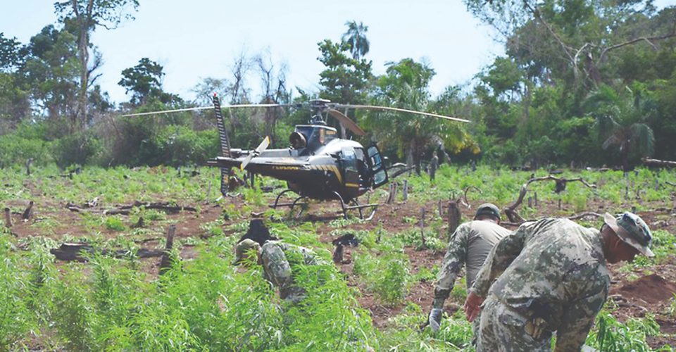 Fotos: CENAD/ Divulgação