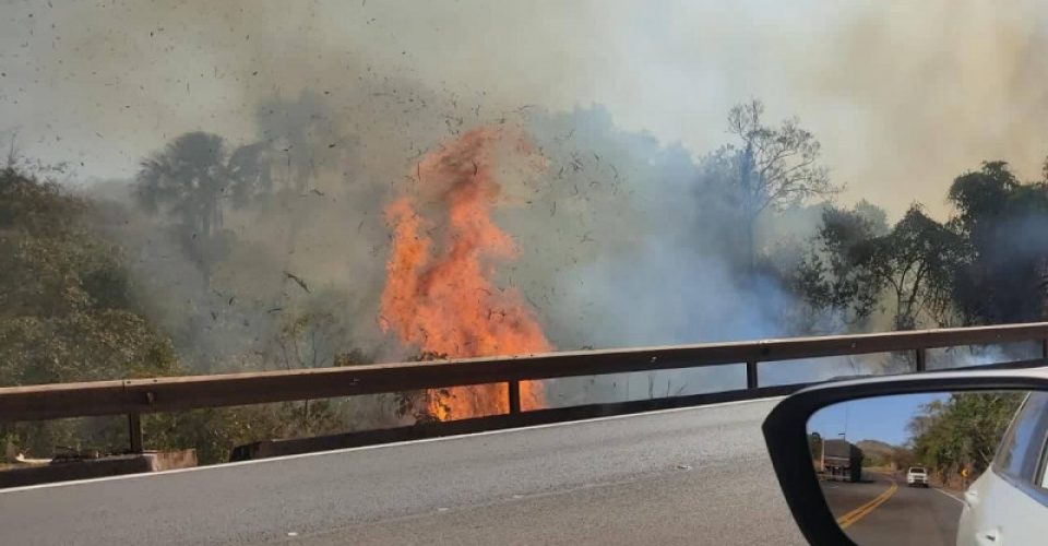 Foto: Reprodução/EMS