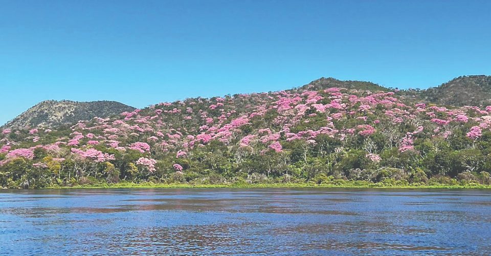 Fotos: Ângelo Rabelo