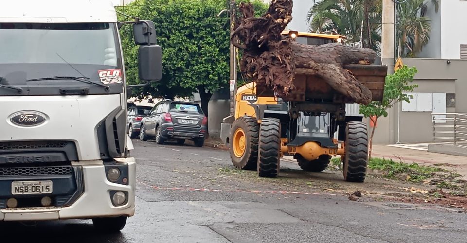 Foto: Prefeitura de Campo Grande