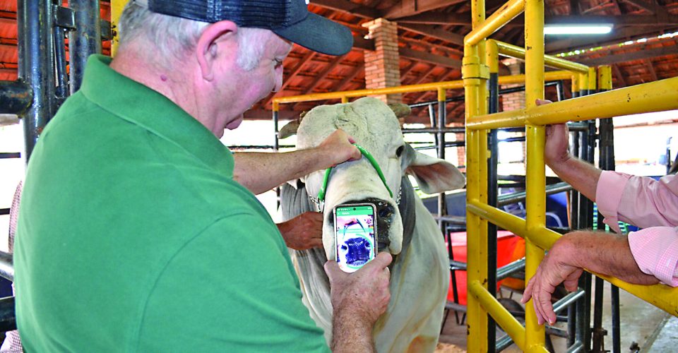 A tecnologia foi criada
pelo pesquisador e
empresário gaúcho
Flávio Malmann - Foto: Reprodução