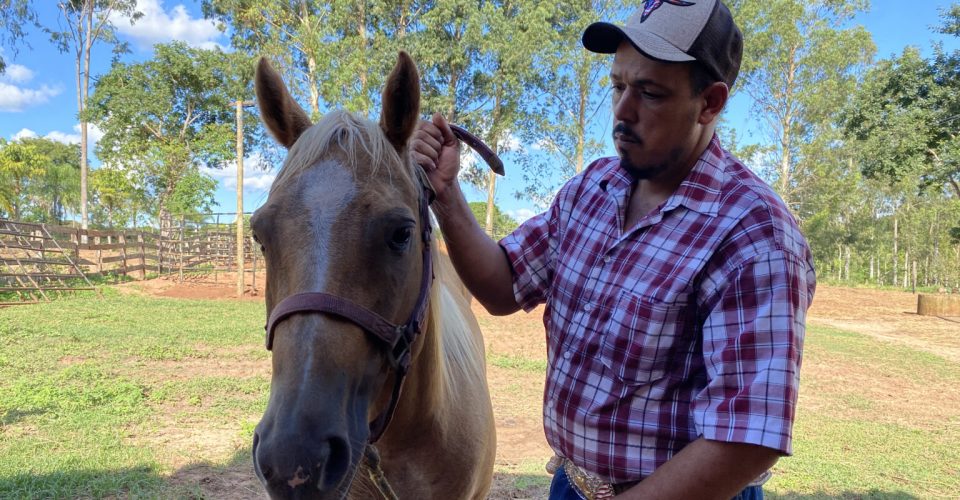 curso de equinos