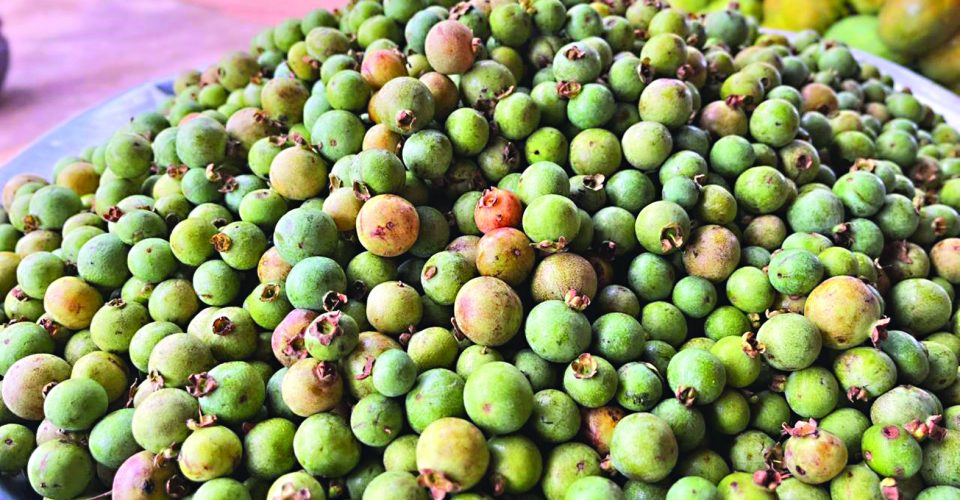 Foto: Roberta Martins