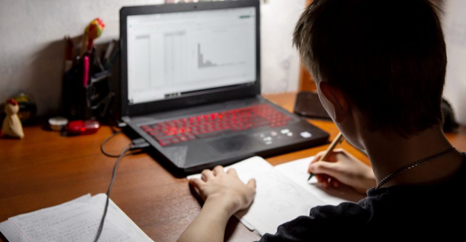 The boy is doing homework. Distance learning in quarantine. A child in front of a computer. The view from the back.