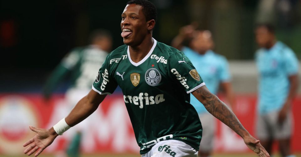 Palmeiras, Libertadores