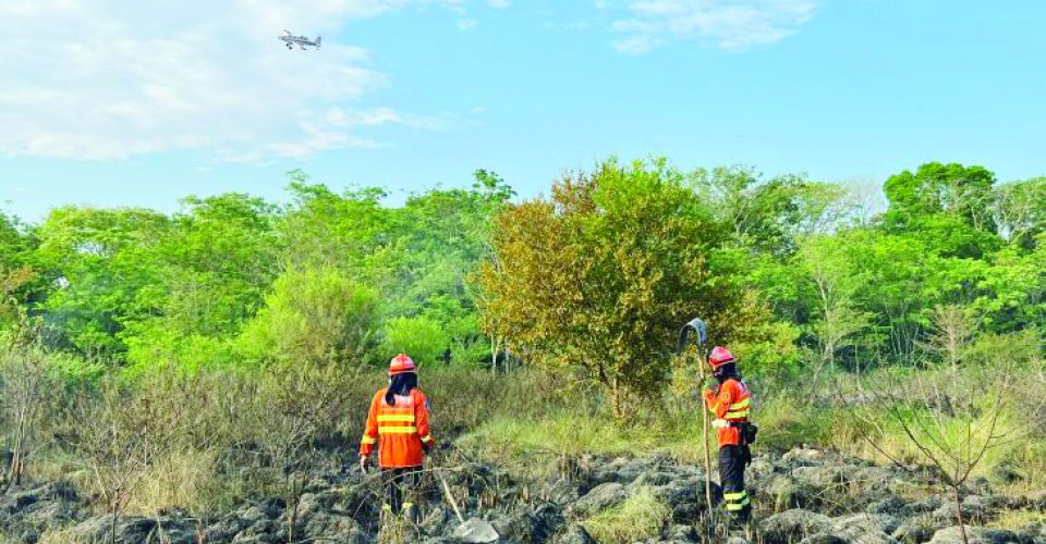 Foto: Reprodução/Equipes contam com reforço por terra e ar
e tentam minimizar os impactos das chamas