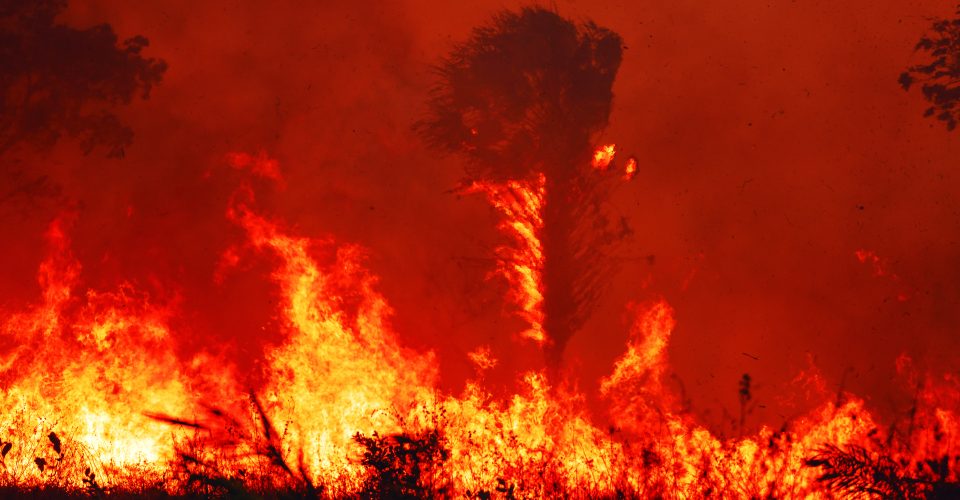 Lalo de Almeida. Fogo assola a vegetação da Fazenda Paraíso, na Nhecolândia, no Pantanal Sul. Corumbá, Mato Grosso do Sul, 2 de agosto de 2024.