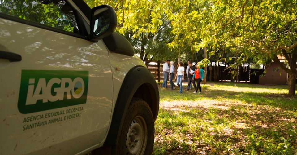 Foto: Divulgação/Iagro