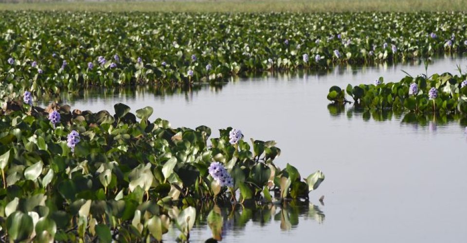 Fotos: Bruno Rezende/Secom/Arquivo