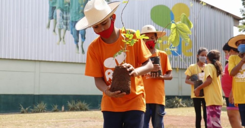 Rede Solidaria