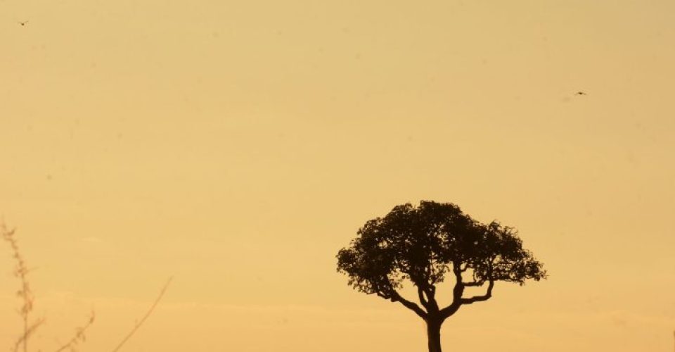 Foto: Álvaro Rezende/Secom