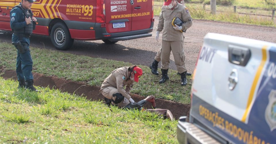 Foto: Marcos Maluf/O Estado Online