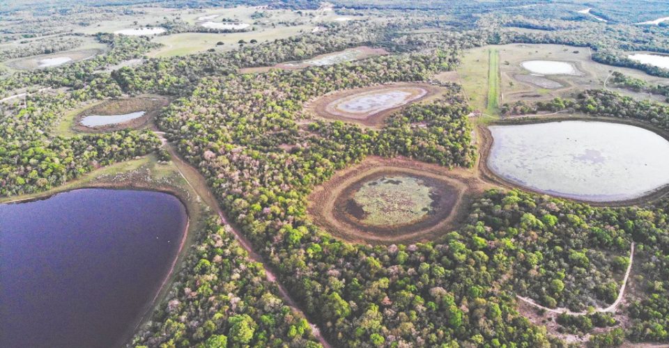 Pantanal