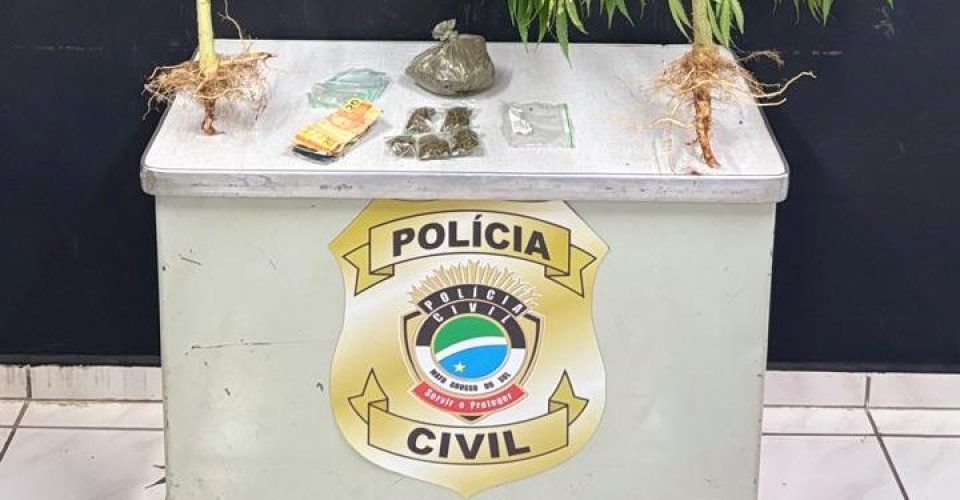 Foto: Polícia Civil