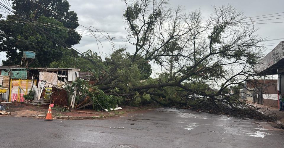 Foto: divulgação/Energisa