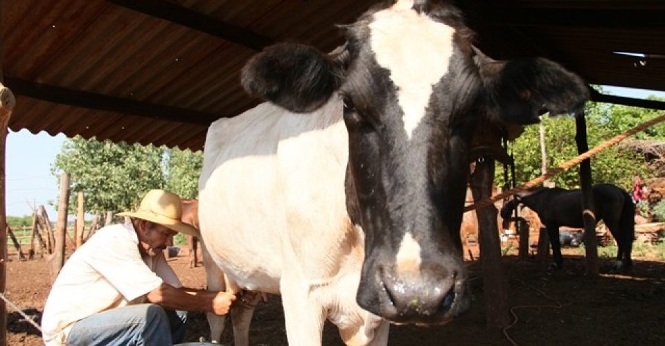 Foto: Reprodução/Semagro