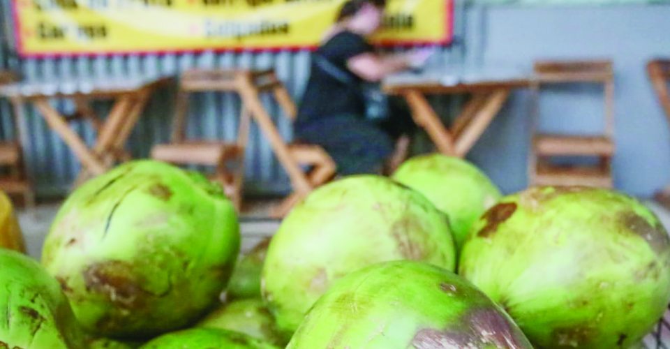 Foto: 500 ml de água de coco sai por R$ 8/Marcos Maluf