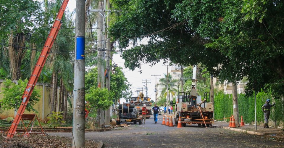 Quedas de árvores em diversos pontos da cidade durante a tempestade