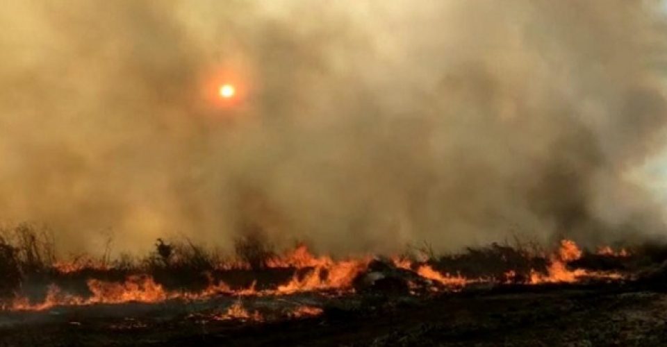 Foto: Divulgação/Corpo de Bombeiros