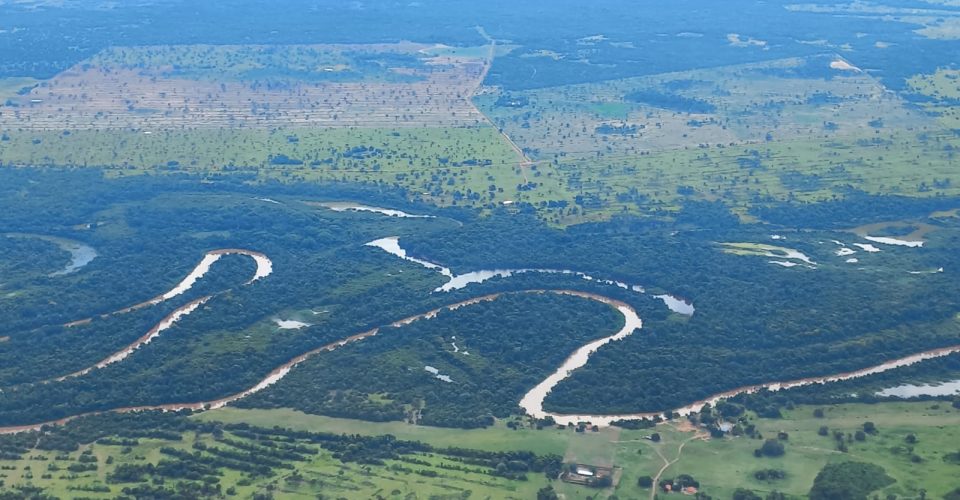 Foto: Divulgação/SOS Pantanal